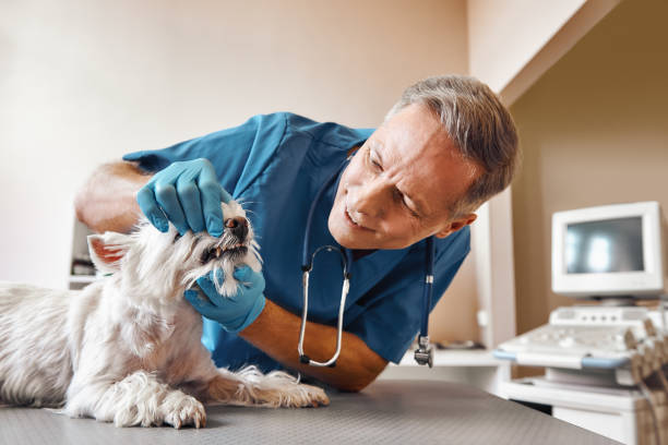 Best Emergency Tooth Extraction in Muncie, IN